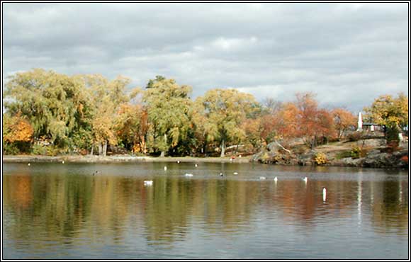 Old Burial Hill viewed from Redd's Pond in Autumn.