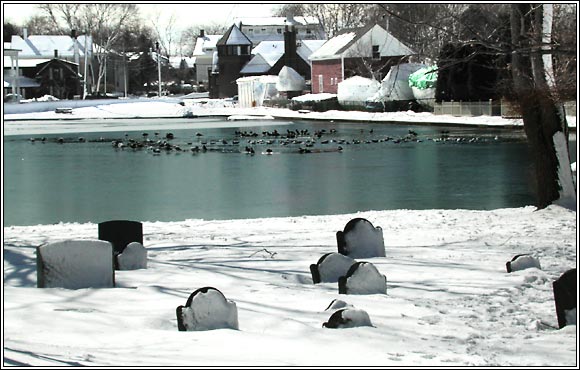 Old Burial Hill viewed from Redd's Pond in Winter.